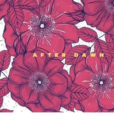 After Dawn by Sitza - album cover