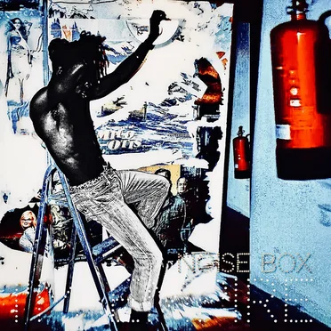 The Noise Box