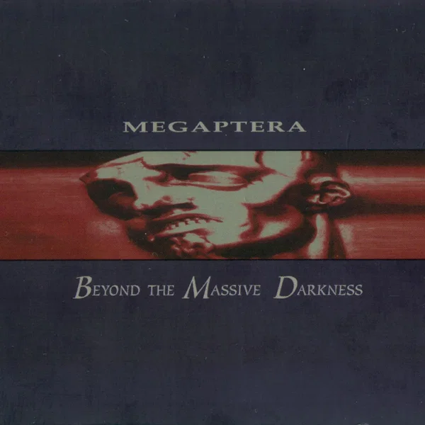 Beyond the Massive Darkness