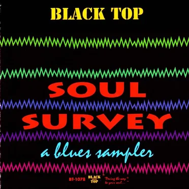 Soul Survey: A Blues Sampler by Various Artists - album cover