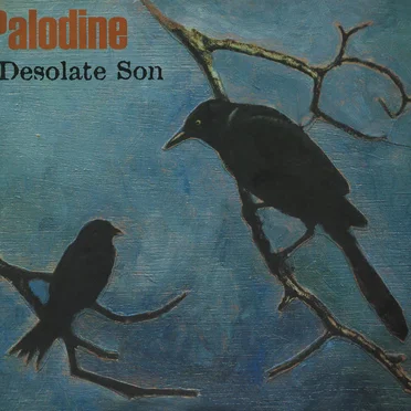 Desolate Son