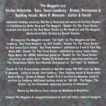 This Condition Is Incurable by The Maggots - album cover