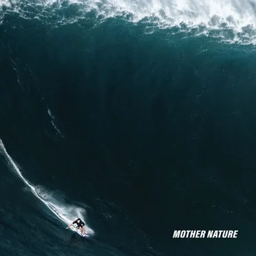 Mother Nature by The Dangerous Summer - album cover