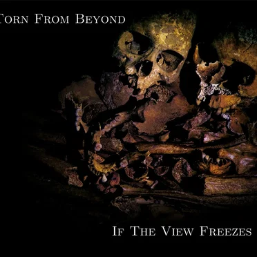 If the View Freezes by Torn From Beyond - album cover
