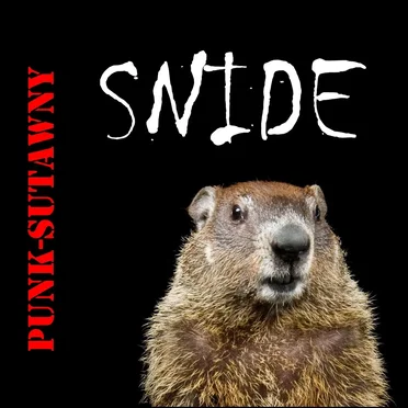 Punk-Sutawny by Snide - album cover