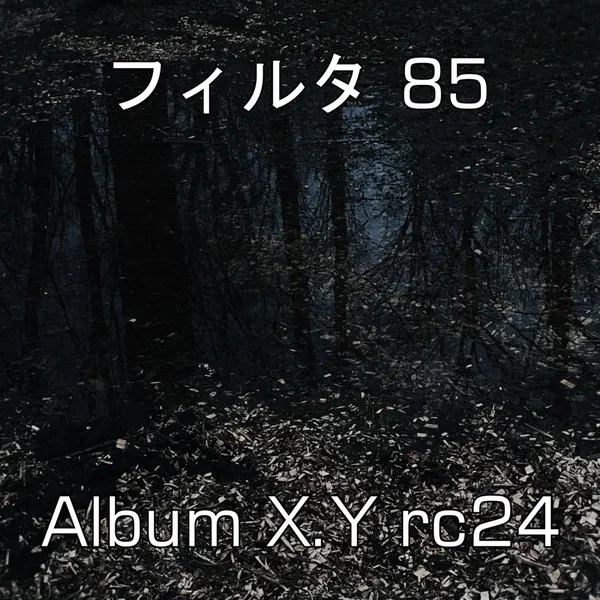 Album X.Y rc24