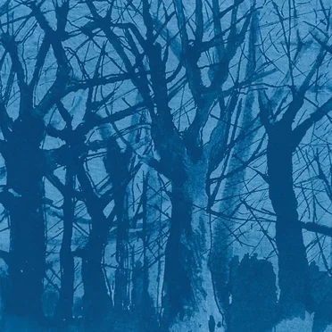 Blue forty-nine by staraya derevnya - album cover