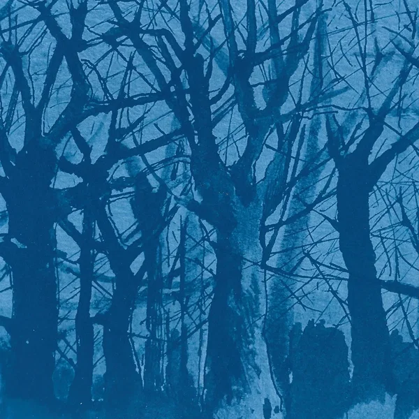 Blue forty-nine