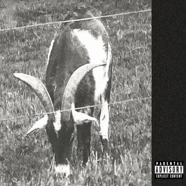 Goathead