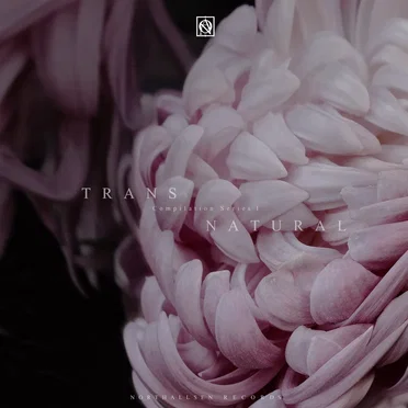 Transnatural Compilation Series I by Various Artists - album cover