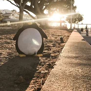 Soak Up the Sun