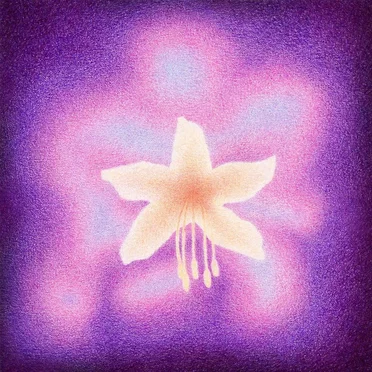 Teardrop Star by Briana Marela - album cover