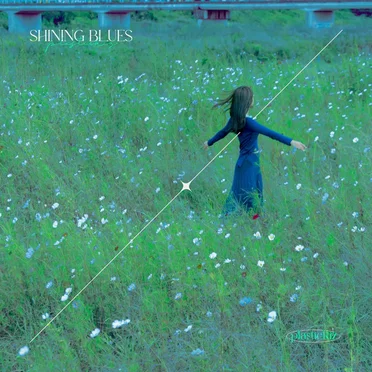 Shining Blues by plastickiz - album cover