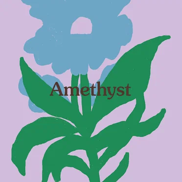 Amethyst: New Sounds from Moon Glyph Records by Various Artists - album cover