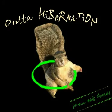 Outta Hibernation