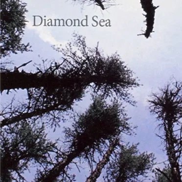 Diamond Sea
