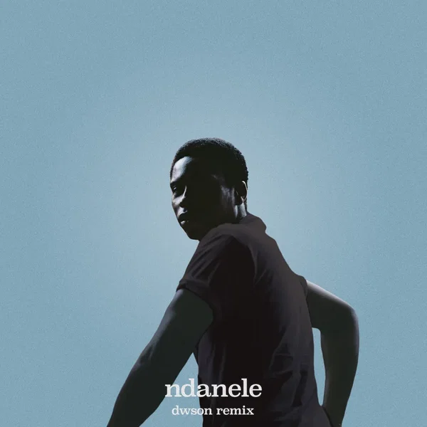 ndanele (Dwson remix)