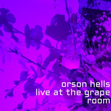 Songs About Emotion: Live at the Grape Room