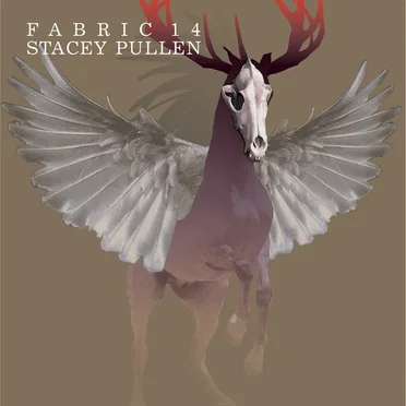 Fabric 14: Stacey Pullen