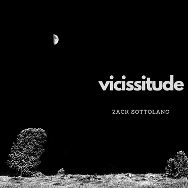 Vicissitude
