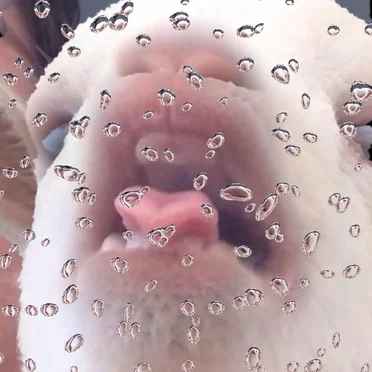 For a Taste of Your Water the Nile I'll Swim to You