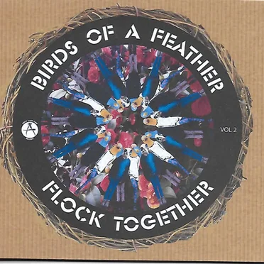 Birds of a Feather Flock Together Vol 2 by Various Artists - album cover