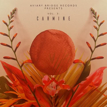 Vol. 3: Carmine by Various Artists - album cover