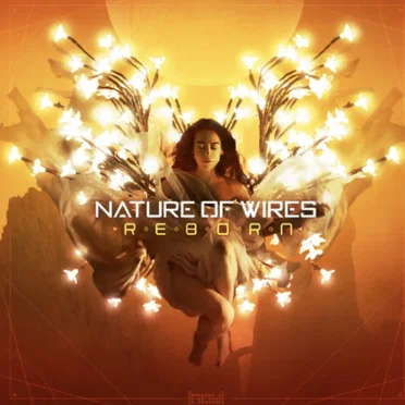 Reborn by Nature of Wires - album cover