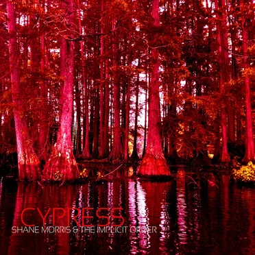 Cypress