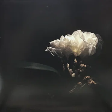 Tell Me True by Cory Chisel - album cover