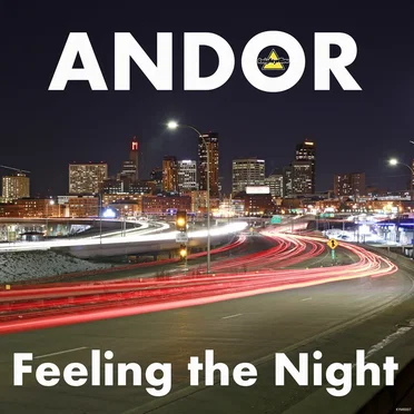 Feeling the Night