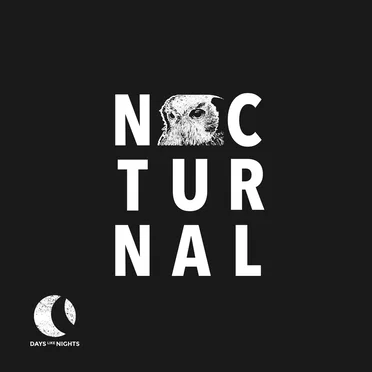 Nocturnal 010 by Various Artists - album cover