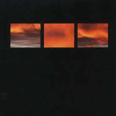 The Suncrows Fall and Tree