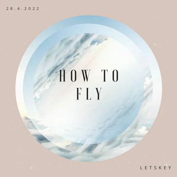 How To Fly
