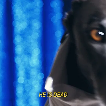 He Is Dead by A. Swayze & The Ghosts - album cover