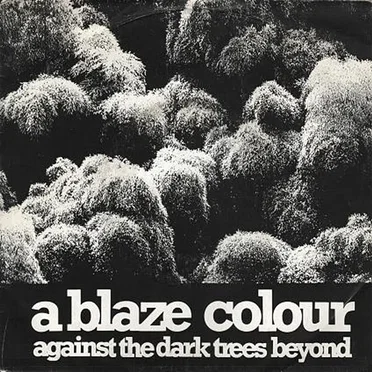 Against the Dark Trees Beyond by A Blaze Colour - album cover
