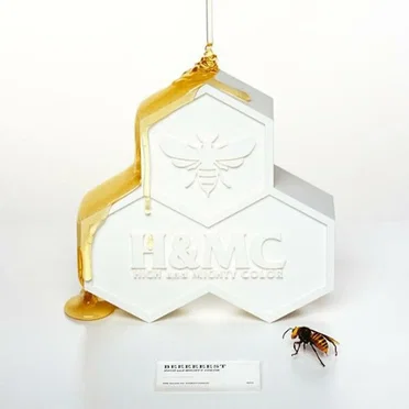 BEEEEEEST by HIGH and MIGHTY COLOR - album cover