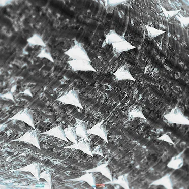 Foundations for a Journey / Part II