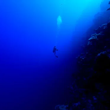 thalassophobia