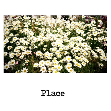 Place