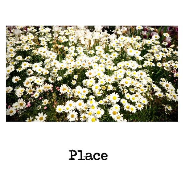 Place
