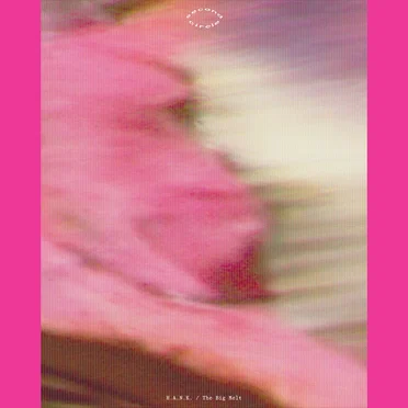 The Big Melt by H.A.N.K. - album cover
