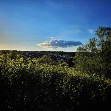 Fading Light