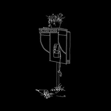 alleged sounds by charlotte something - album cover