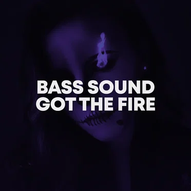 Got the Fire by Bass Sound - album cover