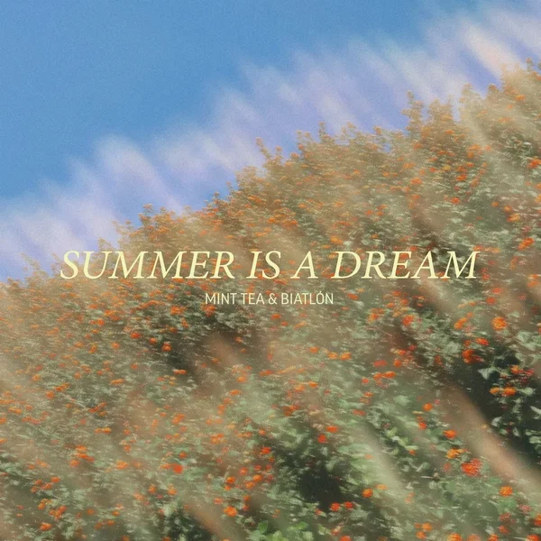 Summer Is a Dream