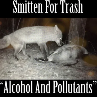 Alcohol and Pollutants