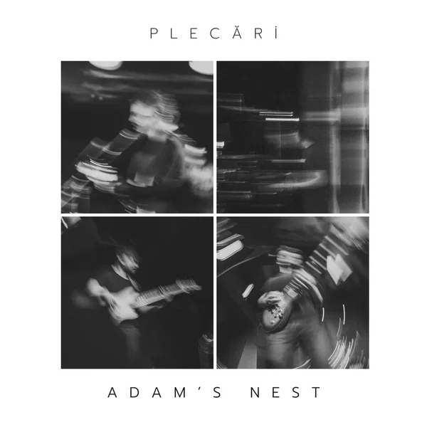 Plecări