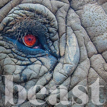 Boston Sessions, Vol. 1: Beast by Various Artists - album cover
