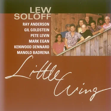Little Wing
